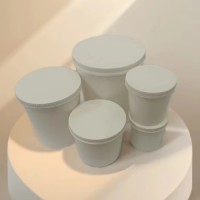 Strong Quality Disposable Plastic Paint Cup Auto 200ml/ 300ml /500ml /1L/2L plastic cup for spray paint